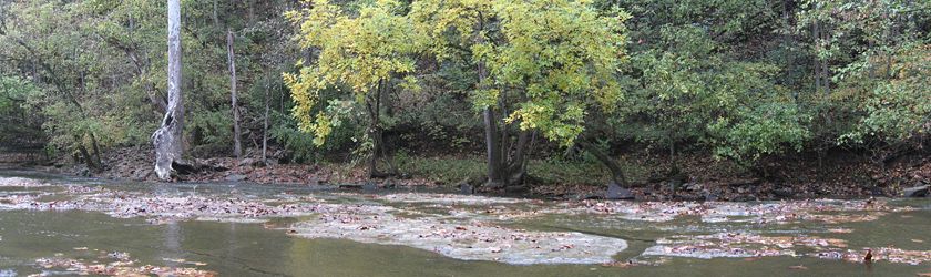 Lower Howard's Creek Nature & Heritage Preserve