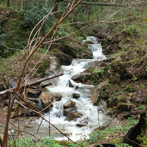 Mountain Stream