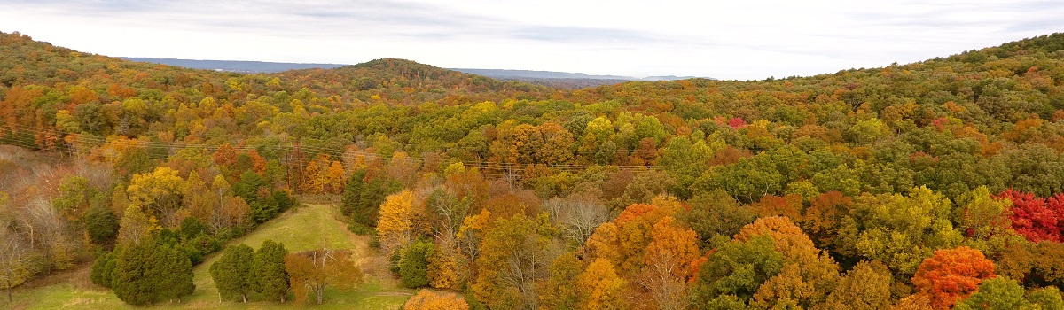 Bernheim Arboretum and Research Forest