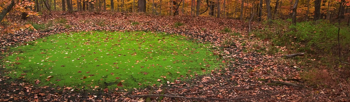 KSU Environmental Education and Research Center