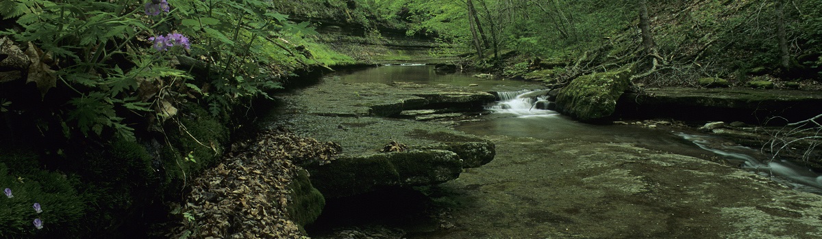 Raven Run Nature Sanctuary