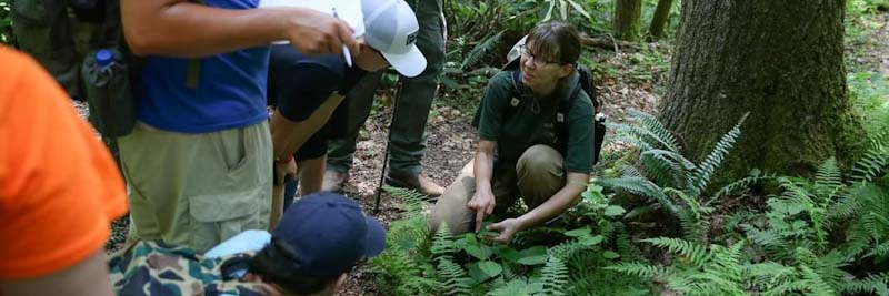 Bioblitz event at Pine Mountain